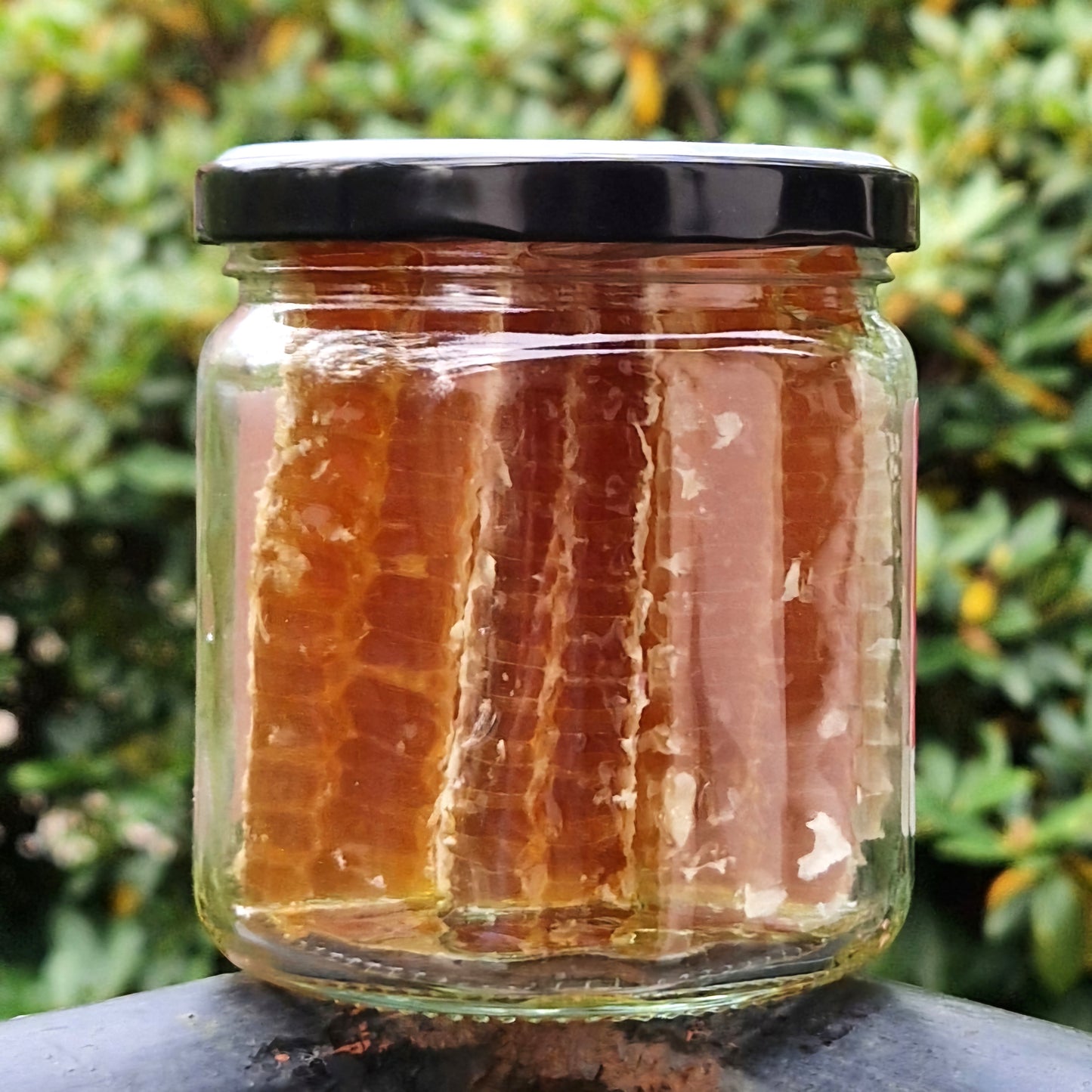 Heide-Scheibenhonig Bio ca240g