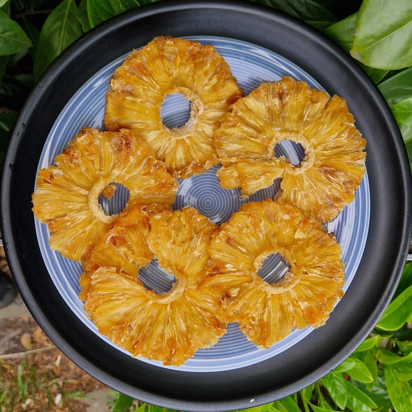 Ananasringe Premium Bio aus Togo 1kg