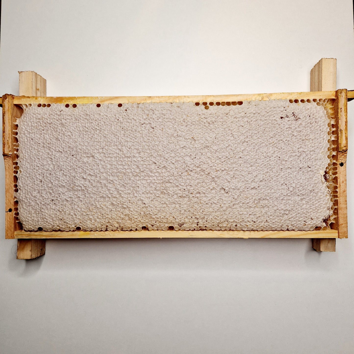 Scheibenhonig-Bio in Wabe 2 kg